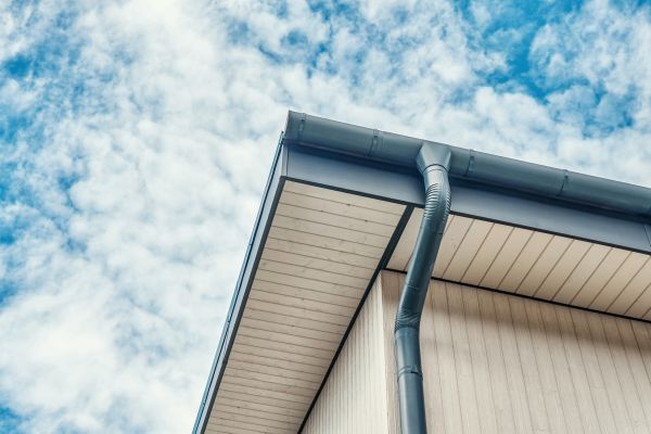 Gutter Fascia Repair in Taylors