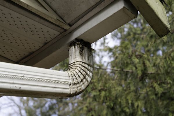 Roof Drain Replacement in Taylors